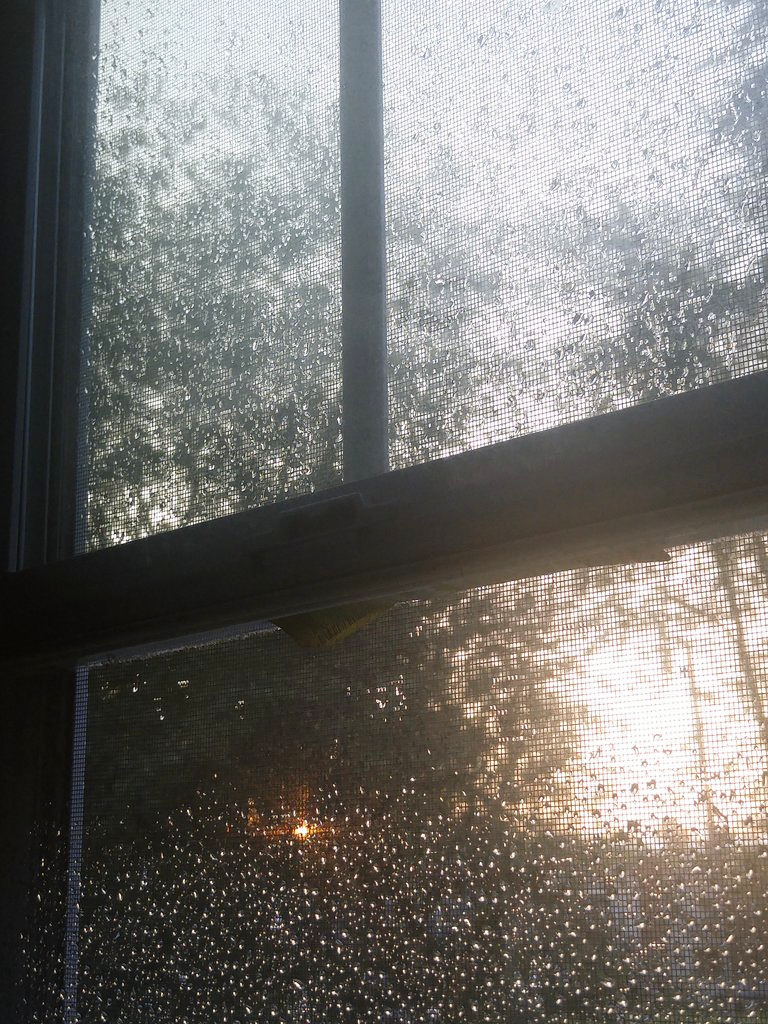 Window speckled with raindrops.