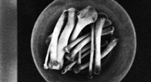 bowl of bones